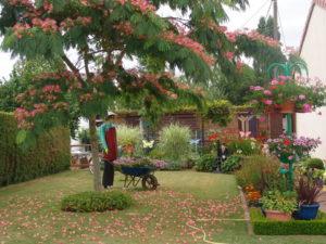 Image de l'article Concours jardins et balcons fleuris