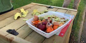 Image de l'article Un compost pour tous !